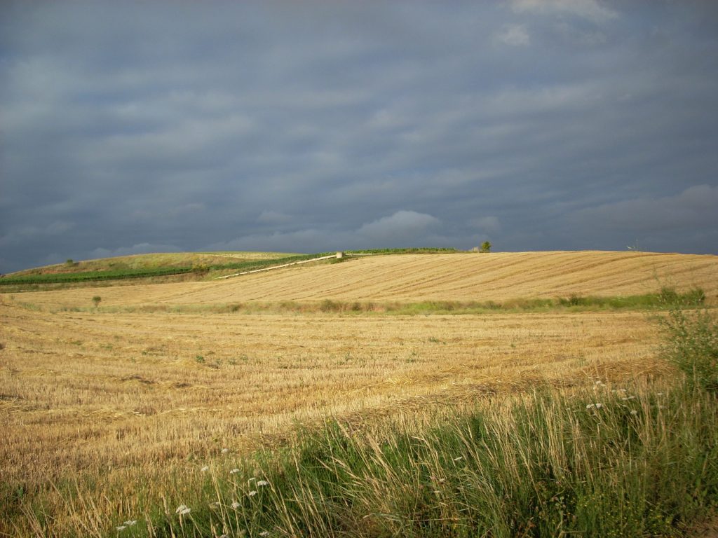 Camino