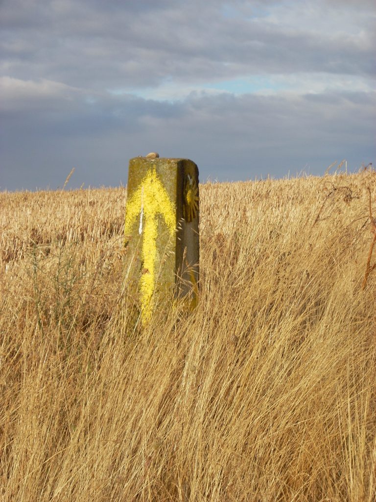 Camino